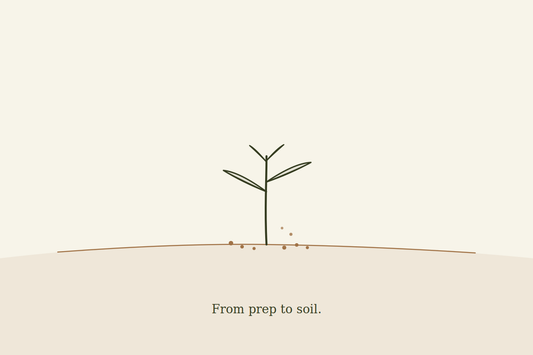 Using PlantMix Well: How to Avoid Mould and Soil Issues