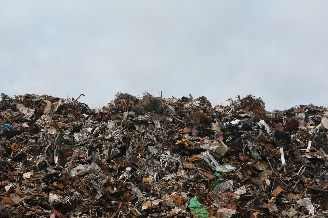 Food Waste Rotting in Landfills Because We Couldn’t Be Bothered