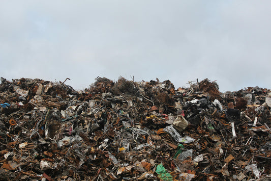 Food Waste Rotting in Landfills Because We Couldn’t Be Bothered