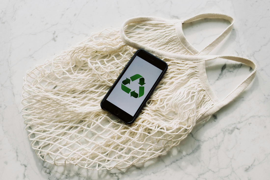 How to Make Your Home More Environmentally Friendly — Without Spending a Cent