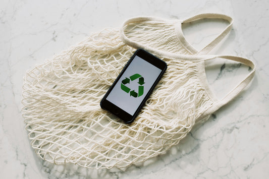 How to Make Your Home More Environmentally Friendly — Without Spending a Cent